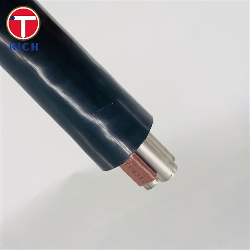 Многоядерная цепная труба из нержавеющей стали с пластмассовым покрытием для судостроения в классах 304L/316L/Duplex 2205 и методах холодного извлечения/горячего проката